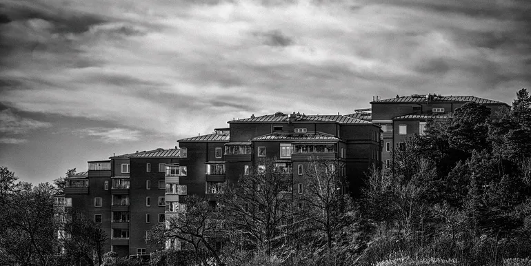 IMG_3982 B