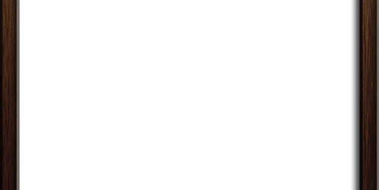 DSC03602