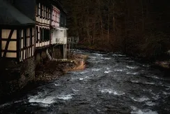 DSC00319