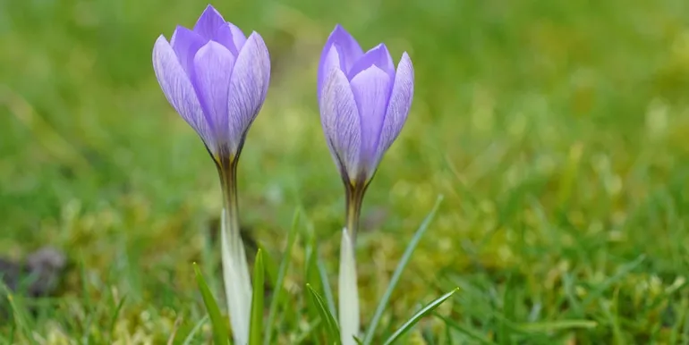 028