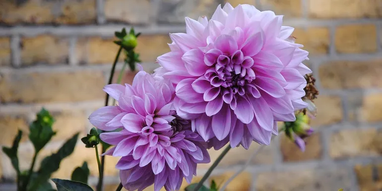 032