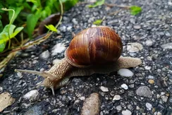 Działki budowlane w Zagórzu pod Zieloną Górą OKAZJA!