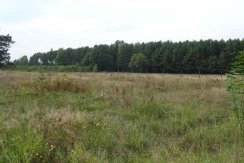 Działki budowalne, SŁONE