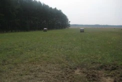 Działka siedliskowa, ŚWIDNICA