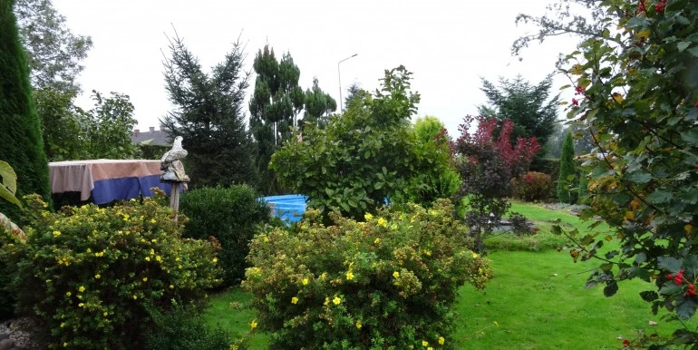 DSC00219