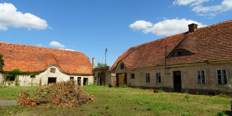 DSC01216