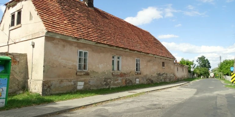 DSC01231