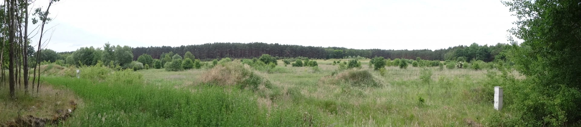 DSC05550