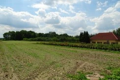 Działka budowlana w  Zielonej Górze-Ochla