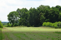 DSC00828