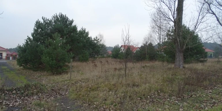 DSC03077