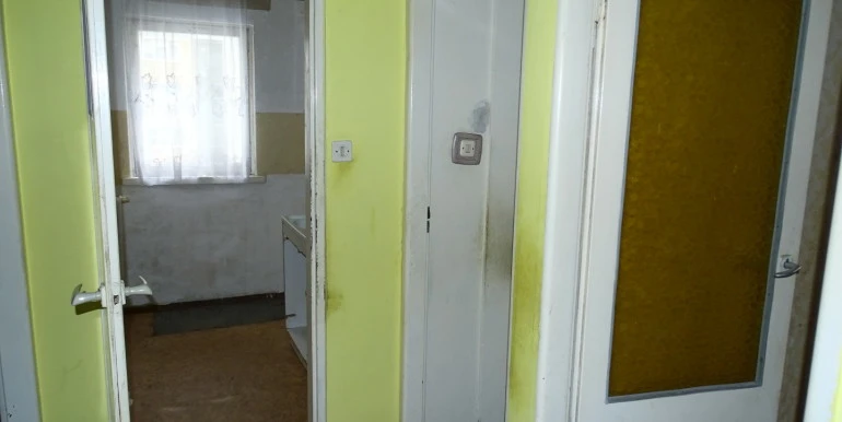 DSC03347